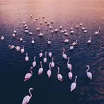 بيت للعطل Casa Marga *